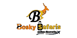 Bosky Adventures & Safaris Logo