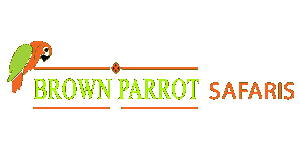 Brown Parrot Safaris Logo