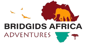 Bridgids Africa Adventures