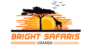 Bright Safaris Uganda Logo