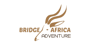 Bridge to Africa 