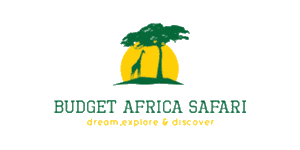 Budget Africa Safari Logo