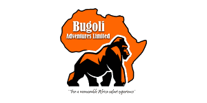 Bugoli Adventures  Logo