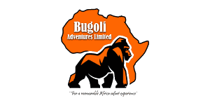 Bugoli Adventures  logo