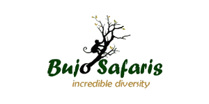 Bujo Safaris Uganda Logo