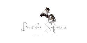 Bumhi Safaris Logo