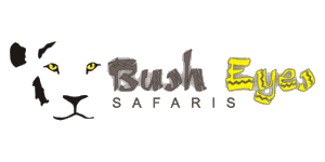Bush Eyes Safaris Logo