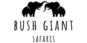 Bush Giant Safaris Logo
