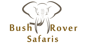 Bush Rover Safaris