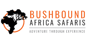 Bush Bound Africa Safaris 