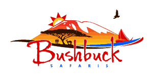 Bushbuck Safaris 