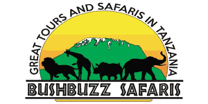 Bush Buzz Tours Bush Buzz Tours