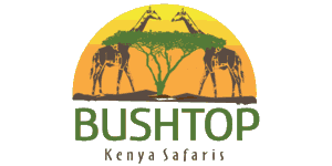 Bushtop Kenya Safaris Logo