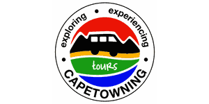 CapeTowning Logo