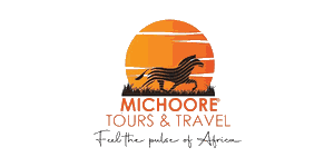 Michoore Tours and Travel Logo