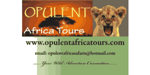 Opulent Africa Tours and Safaris