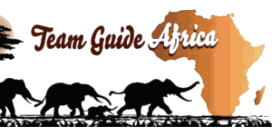 Team Guide Africa Safaris