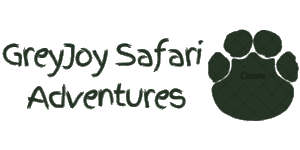 Grey Joy Safari Adventures Logo