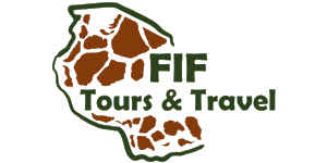 FIF (T) Tours and Travel  Logo