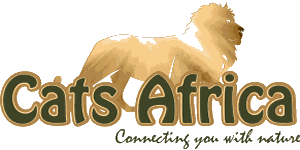 CATS Africa Tours Logo