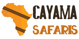 Cayama Safaris