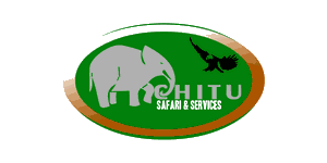 Chitu Safari Services 