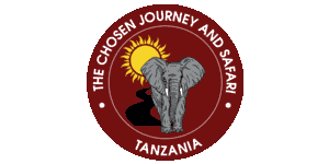 The Chosen Journey & Safari logo