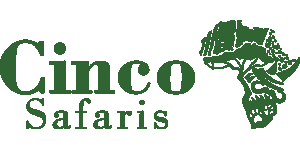 Cinco Safaris Logo