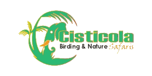 Cisticola Birding and Nature Tours Uganda Logo