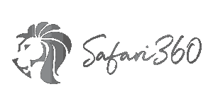 Safari360 logo