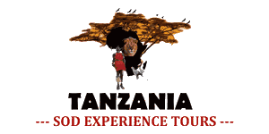 Sod Experience Tours Logo