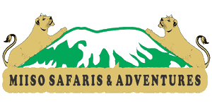 Miiso Safaris & Adventures logo