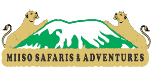 Miiso Safaris & Adventures Logo