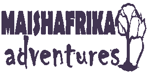Maishafrika Amazing Adventures