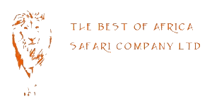 The Best of Africa Safari Company Logo