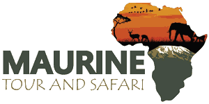 Maurine Tours and Safaris