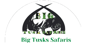 Big Tusks Safaris logo