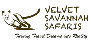 Velvet Savannah Safaris  Logo