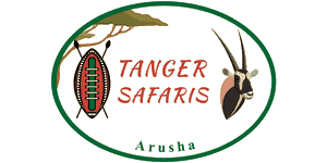 Tanger Safaris & Culture 