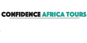 Confidence Africa Tours and Travel ltd Logo