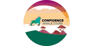 Confidence Africa Tours and Travel  Logo