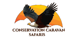 Conservation Caravan Safaris logo