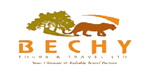 Bechy Tours and Travel Logo