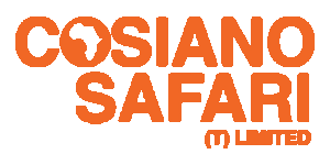 Cosiano Safari Logo