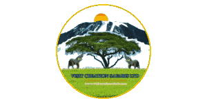 Visit Creation Safaris Logo