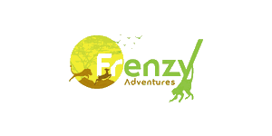 Frenzy Adventures 