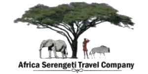 Africa Serengeti Travel & Company