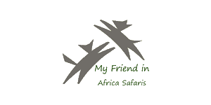 My Friend in Africa (Vimic Groups Ltd)