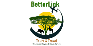 Betterlink Tours Logo