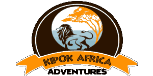 Kipok Africa Adventures